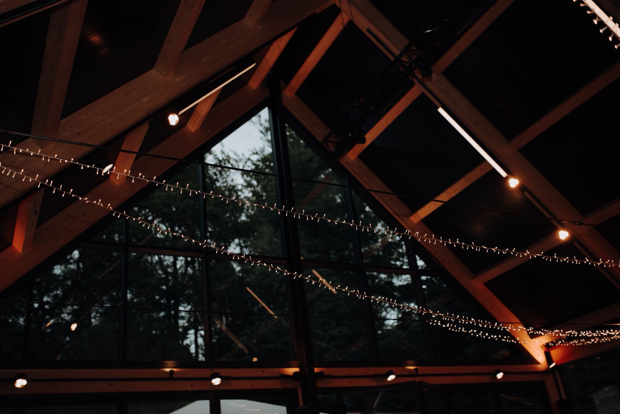 Lichterkette Leon (50m)